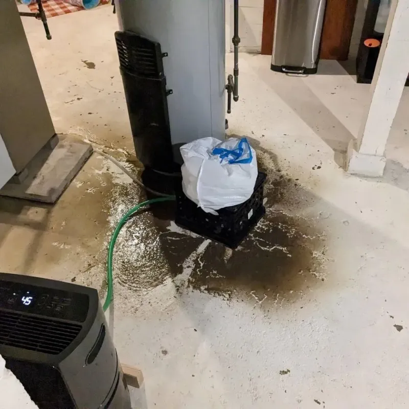 Sewage Backup Cleanup Service in Harlan, KY